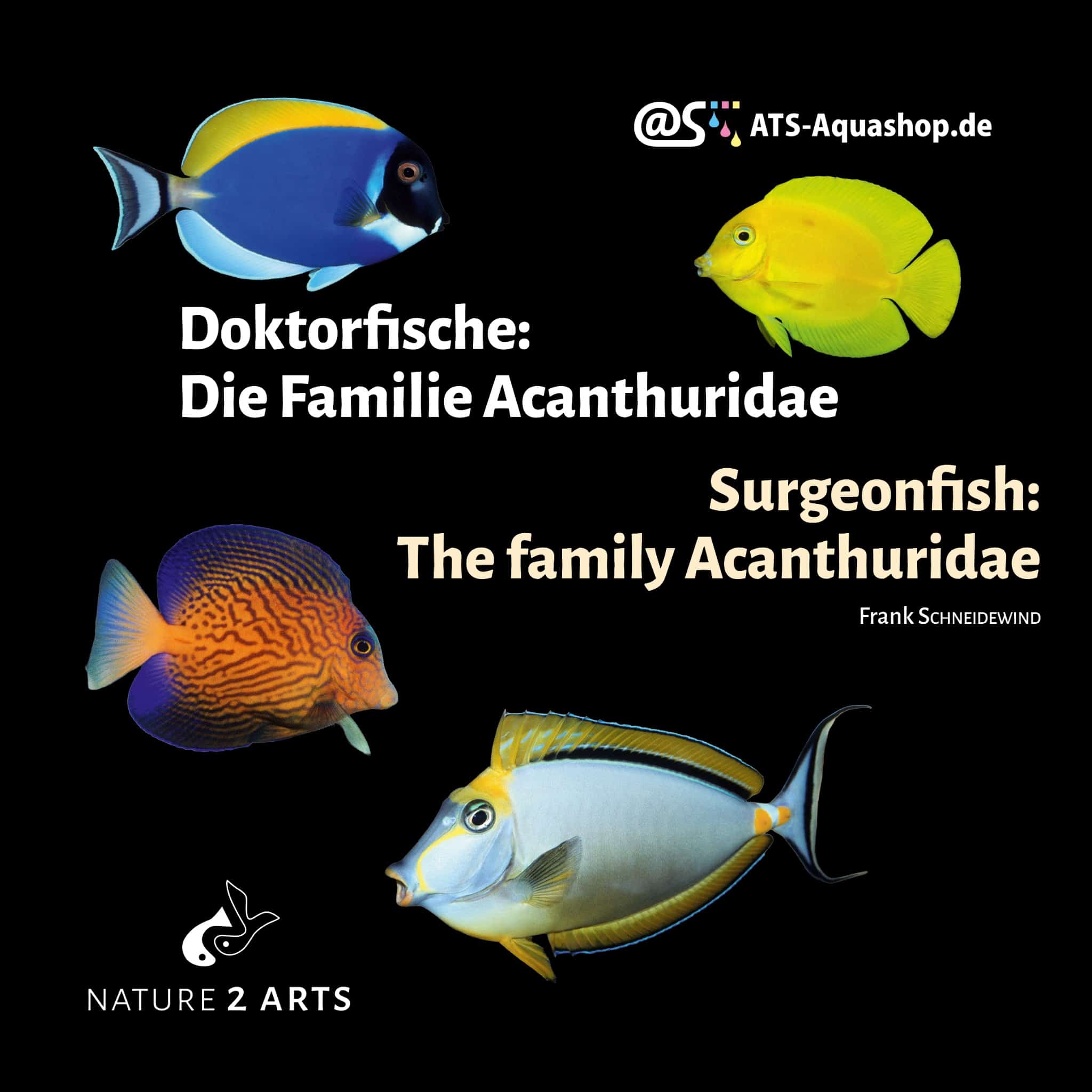 Doktorfische: Die Familie Acanthuridae