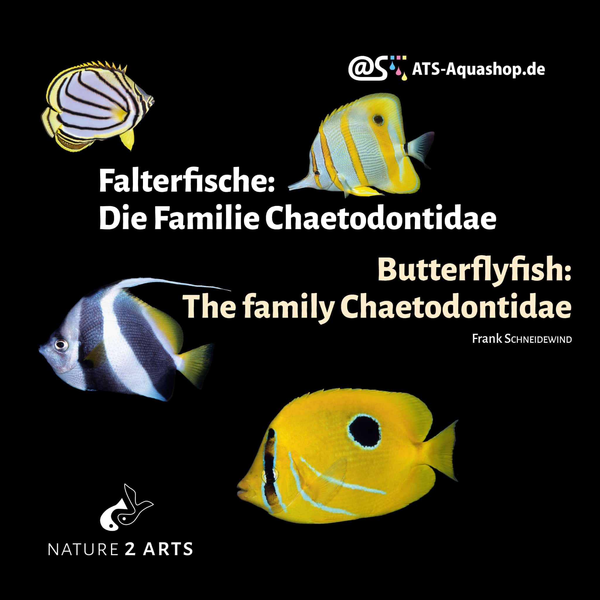 Falterfische: Die Familie Chaetodontidae