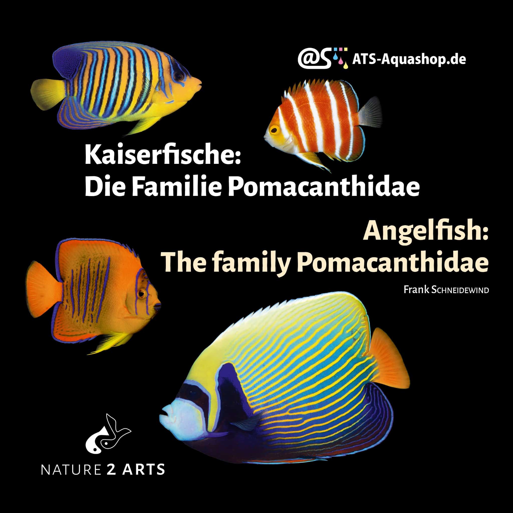 Kaiserfische: Die Familie Pomacanthidae